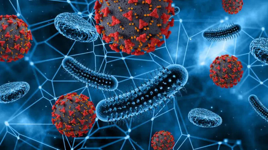 Infecțiile fungice grave, în creștere la nivel mondial: Medicii avertizează asupra rezistenței la tratamente