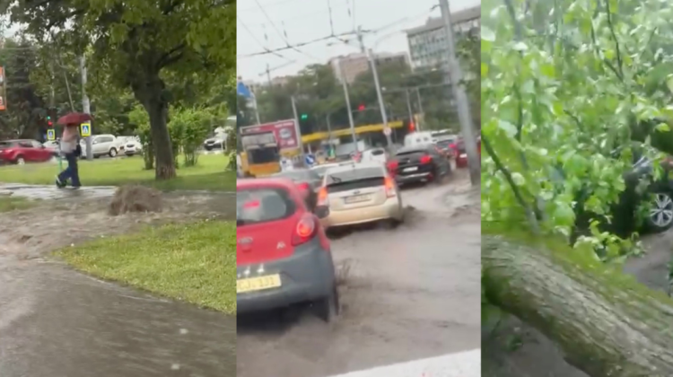 VIDEO Străzi inundate, localități fără lumină și arbori prăbușiți. Ploile fac ravagii în țară