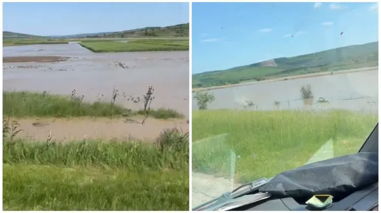 VIDEO Dezastru după inundații la Călărași: Terenurile agricole au fost înghițite de ape