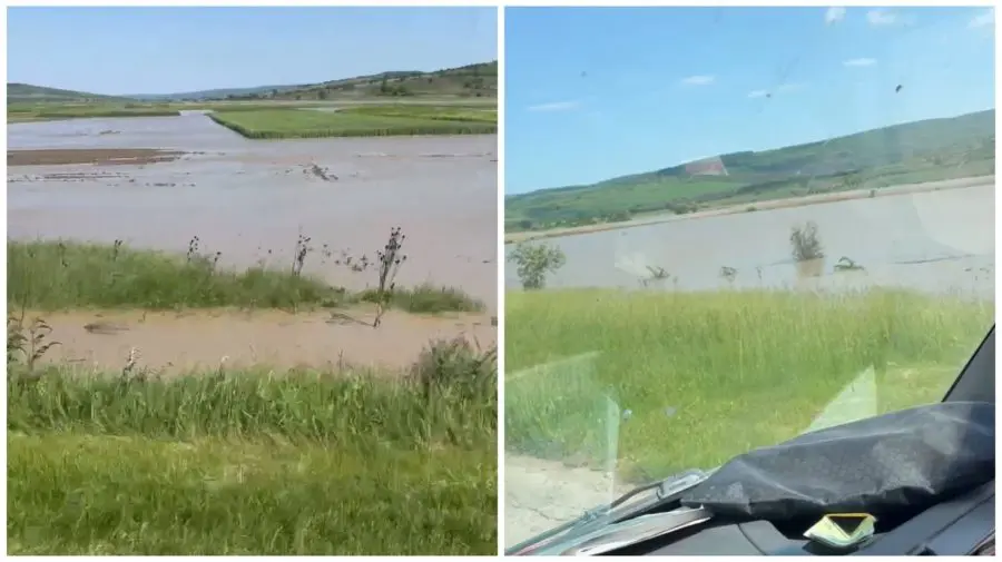 VIDEO Dezastru după inundații la Călărași: Terenurile agricole au fost înghițite de ape