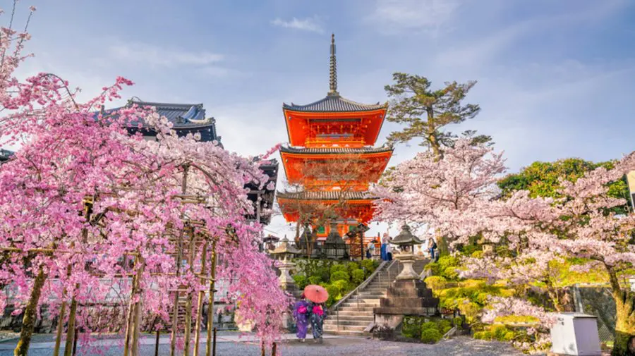 Creștere semnificativă a taxelor de viză în Japonia: Costurile pentru turiști se majorează de până la cinci ori