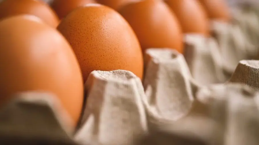 Atenție, consumatori! ANSA retrage de pe piață un lot de ouă după depistarea bacteriei Salmonella