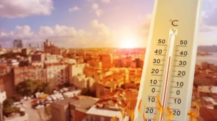 Șeful OMS pentru Europa îndeamnă guvernele să trateze căldura extremă drept o „criză de sănătate”