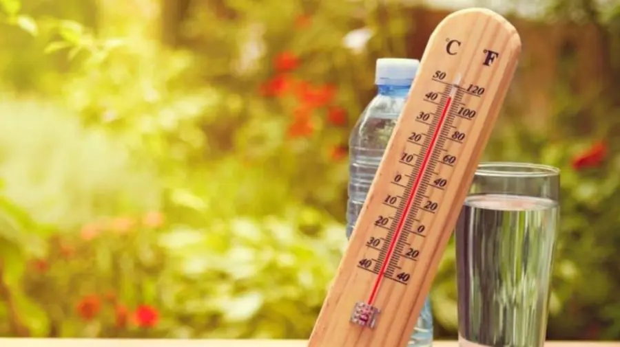 Canicula poate transforma alimentele într-un pericol pentru sănătate. ANSA vine cu un avertisment pentru consumatori