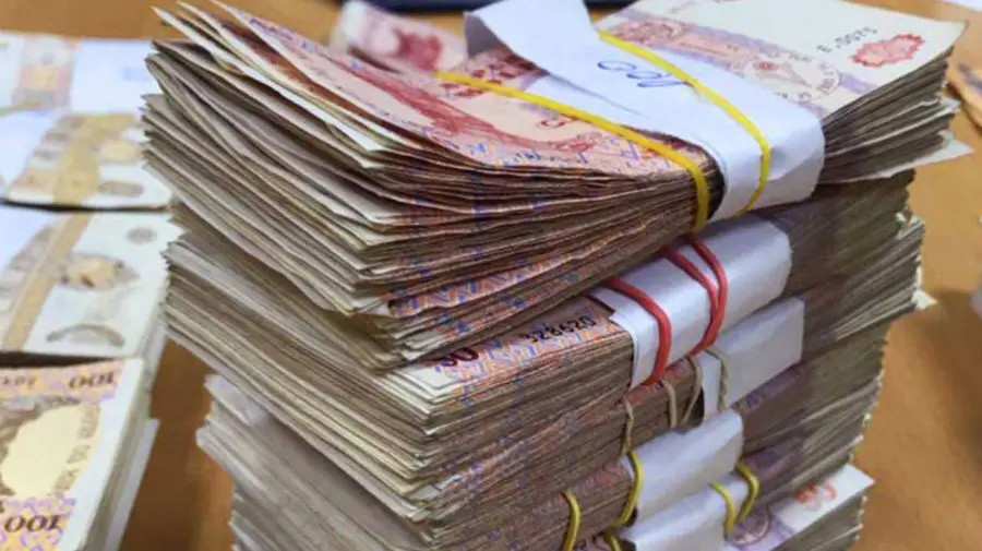 Noua-veche minstră a Finanțelor confirmă: Unele taxe vor crește, iar mai multe facilitățile fiscale vor fi eliminate