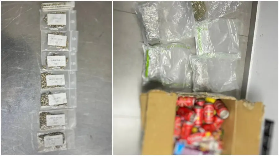 Un colet adus din Spania a atras atenția vameșilor. În interior au fost găsite aproximativ 1,2 kg de marijuana