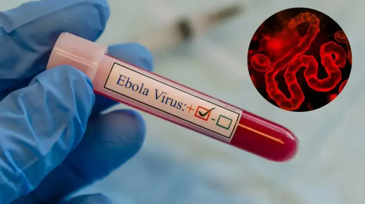 OMS trage un semnal de alarmă: Epidemia de Ebola se extinde rapid și rămâne dificil de controlat