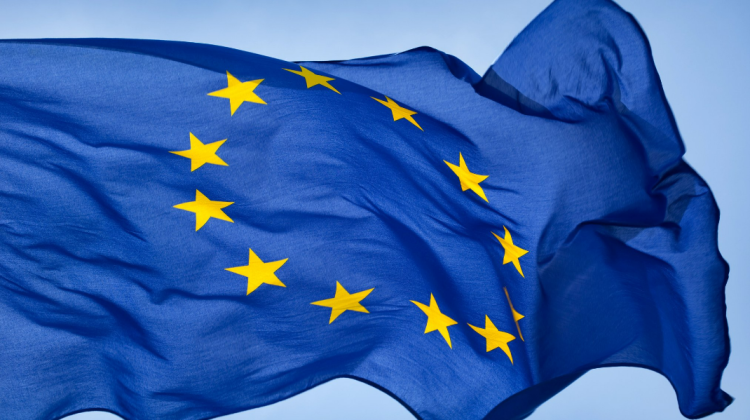 Cinci state UE cer restricții temporare de vot pentru viitorii membri ai blocului comunitar