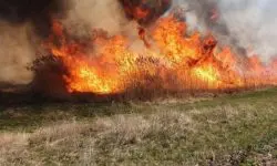 Cod galben de pericol de incendiu în toată Moldova: Până când este valabilă avertizarea