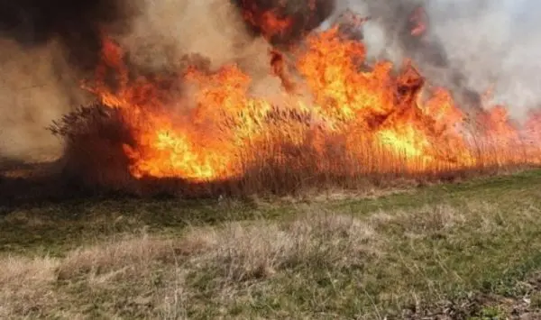 Cod galben de pericol de incendiu în toată Moldova: Până când este valabilă avertizarea