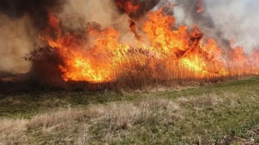 Cod galben de incendii în toată țara: Avertizarea este valabilă până la sfârșitul lunii iulie