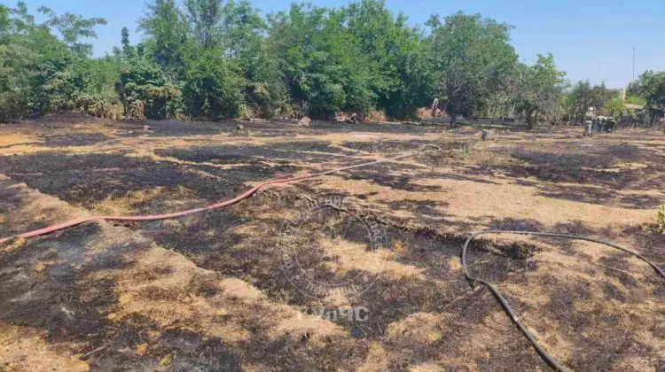 Tragedii provocate de incendiile de vegetație: un bărbat a murit, altul luptă pentru viață