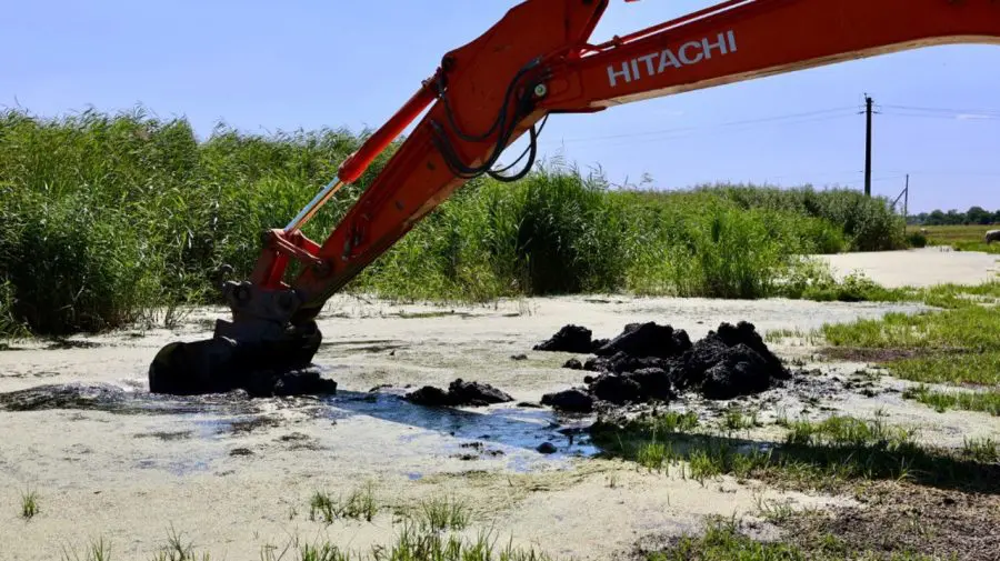 VIDEO Aproape 10 kilometri din albia râului Răut sunt curățați pentru a reduce riscul de inundații