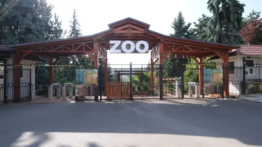 Grădina Zoologică din Chișinău avertizează: puii de animale sălbatice nu trebuie luați din natură
