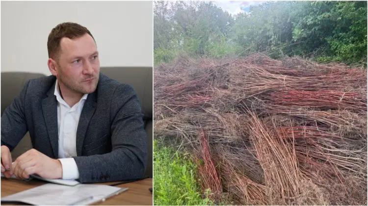 Nereguli grave descoperite la „Pădurea Domnească”. Ministrul Mediului: „Solicit eliberarea din funcție a directorului”