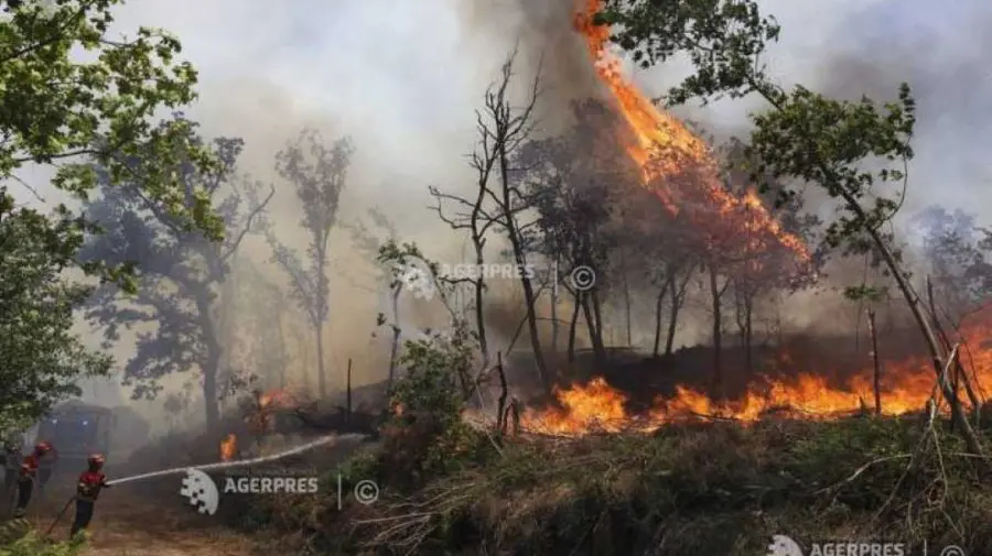Incendiile forestiere fac ravagii în Portugalia. Țara activează mecanismul european de protecție civilă