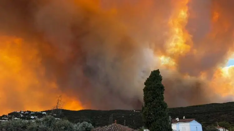 VIDEO Incendiu scăpat de sub control în Spania: Zeci de mii de persoane, avertizate să nu iasă din case