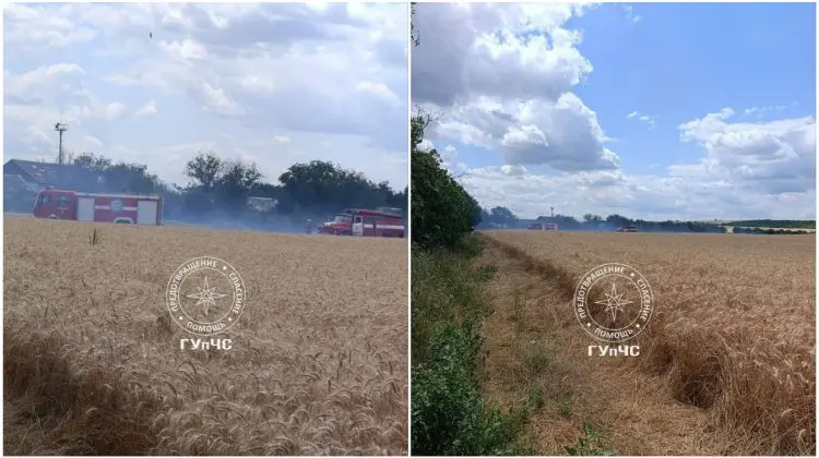 Incendii de vegetație la Bender și Rîbnița: pompierii au intervenit de urgență