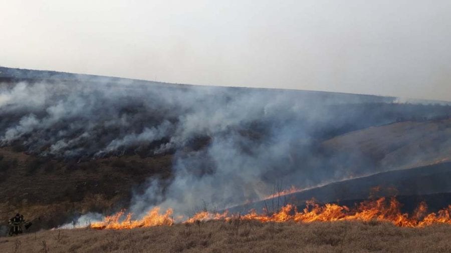 Moldova – pârjolită de incendiile de vegetație uscată. Îndemnul pompierilor (FOTO/VIDEO)