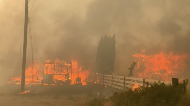 VIDEO Planeta a luat-o razna! După 49.6 °C, o localitate din Canada a fost înghițită de flăcări