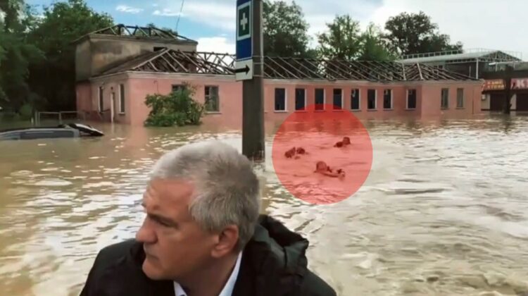 VIDEO Scandalos! Într-o zonă inundată, trei salvatori înoată după o barcă în care se plimbă un cinovnic