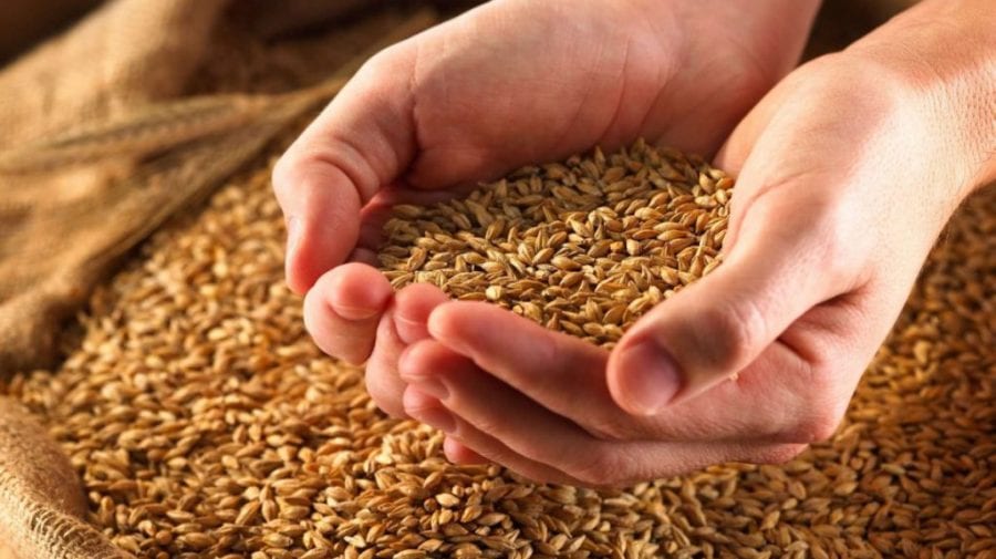 BANI.MD | Criza alimentară bate le ușă! Cantități mari de cereale nu pot fi exportate de Ucraina