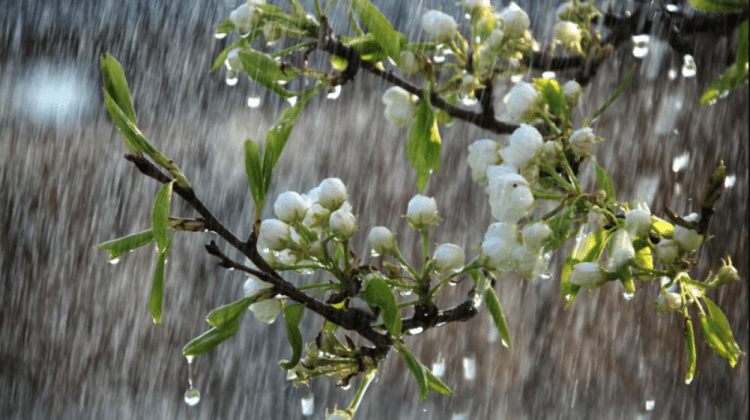 Aprilie începe cu ploi! Prognoza meteorologilor pentru această săptămână. Se așteaptă până la +25 de grade Celsius