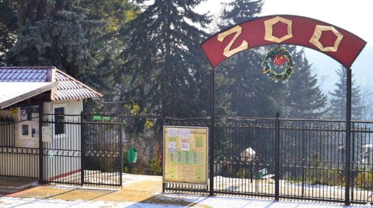 Grădina Zoologică din Chișinău, „lovită” de reforme?! Demisie răsunătoare la sfârșit de săptămână