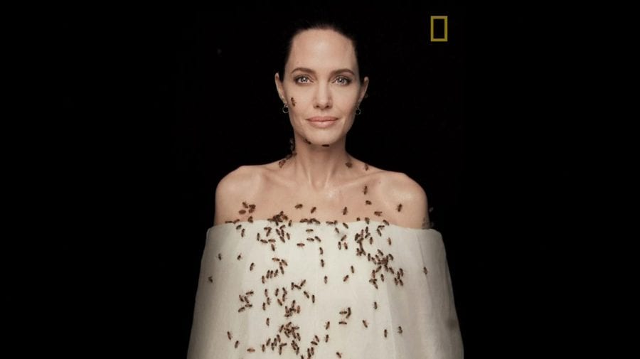 (VIDEO) 18 minute cu un roi de albine pe corp. Angelina Jolie a participat la o ședință foto periculoasă