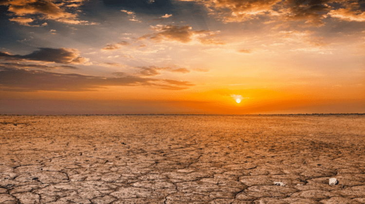 Planeta se încălzeşte mai repede decât s-a anticipat. Până în 2025, lumea va atinge primul prag critic de temperatură