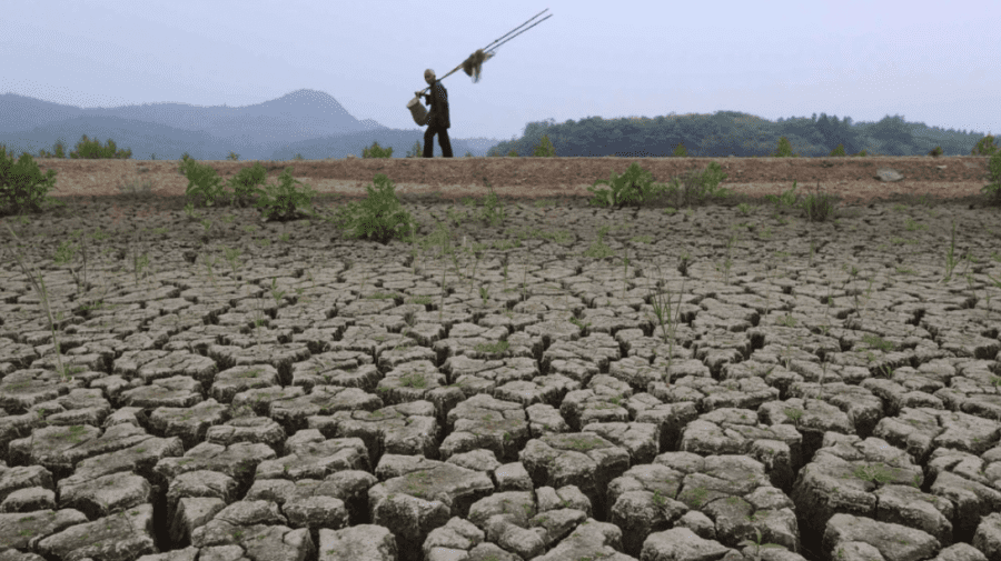Guvernul britanic a declarat stare de secetă