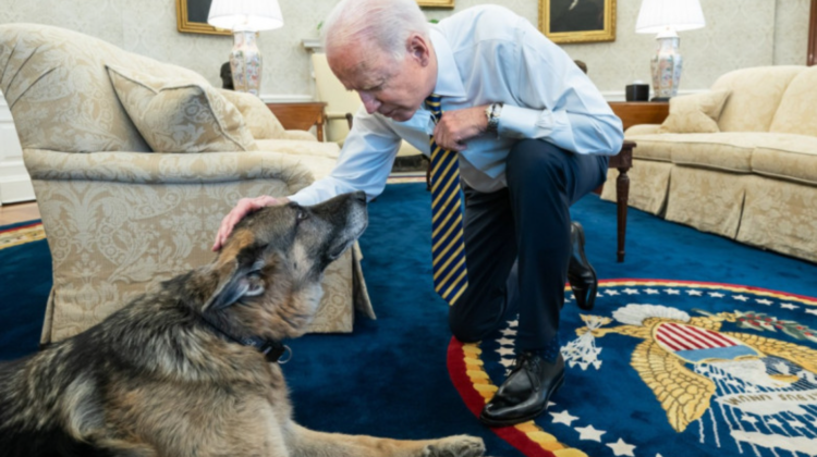 Tristețe la Casa Albă! Unul din câinii președintelui SUA, a murit: „Îmi va lipsi”