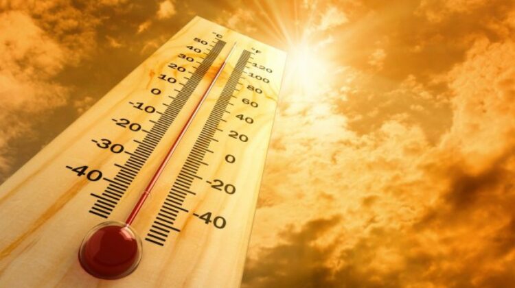 India a fost lovită de un val de căldură: În unele zone din New Delhi au fost înregistrate 49 grade Celsius