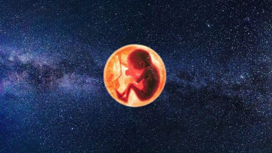 Când se va naște primul copil în cosmos? Va fi începutul civilizației multiplanetare