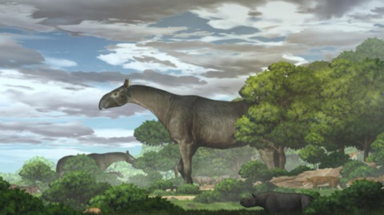 Unde au fost descoperite fosilele unui mamifer de 21 de tone. E mai înalt decât o girafă