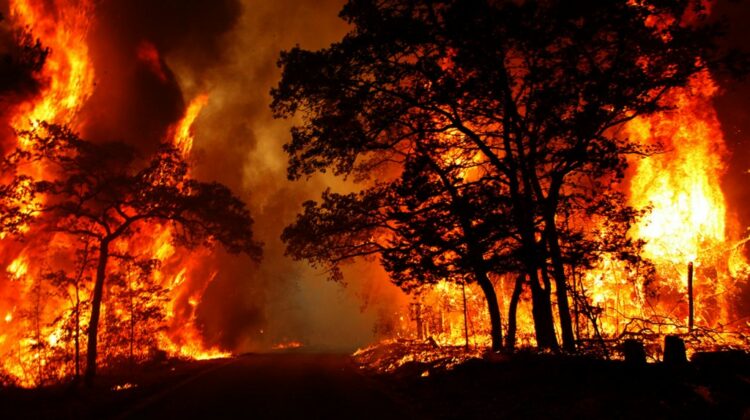 VIDEO Flăcările au luat cu asalt pădurile! Suprafața incendiilor forestiere din Iacutia ajunge la 100 mii de hectare