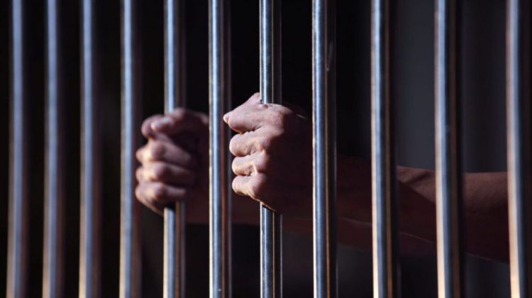 Șase luni de arest pentru doi papagali furați. Un român stabilit în Belgia – acuzat
