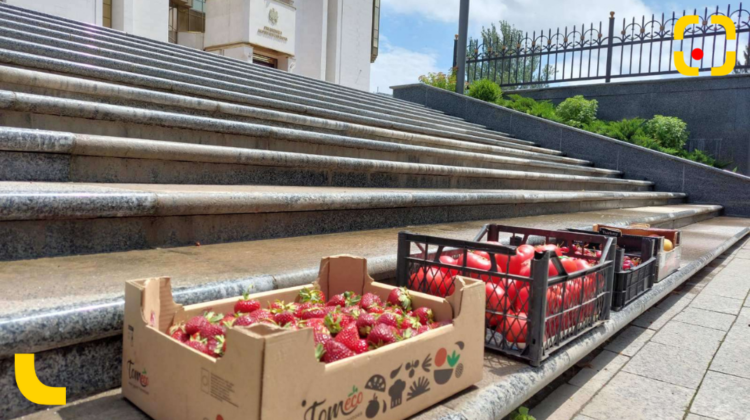 Reacția Maiei Sandu cu privire la roșiile, căpșunile și caisele aduse în semn de protest pe scările Președinției