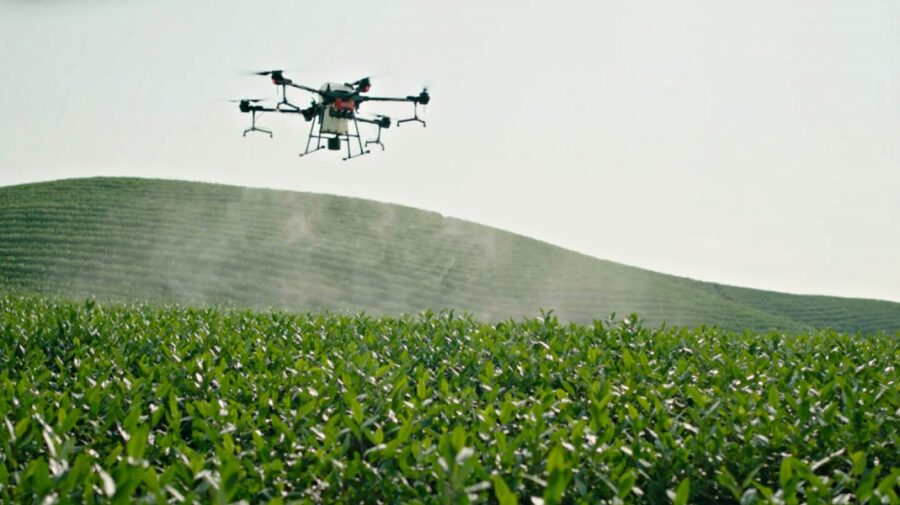 Drona în agricultură. Cum tehnologiile digitale l-au ajutat pe un tânăr din Moldova să-și eficientizeze munca