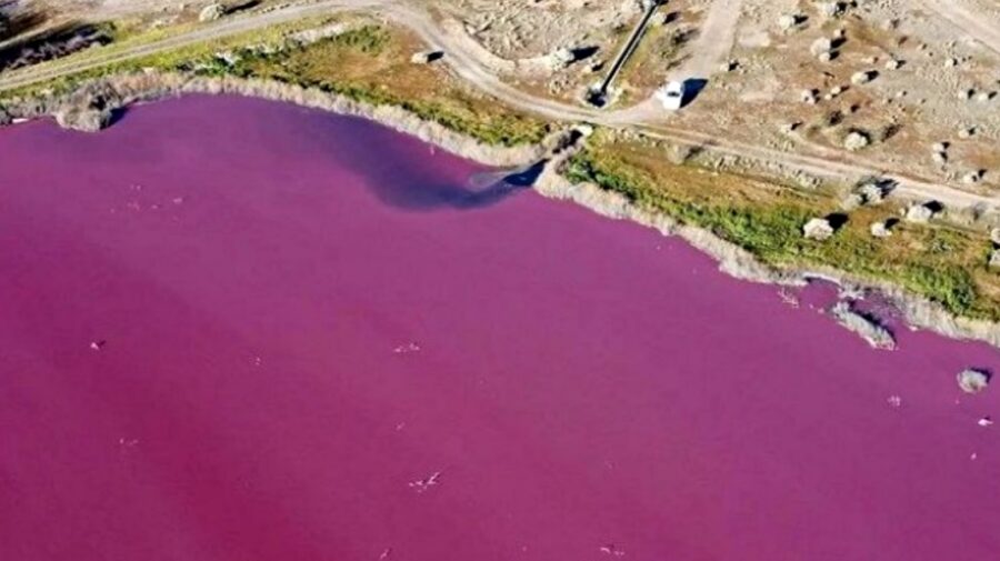 FOTO Un lac din lume a devenit peste noapte roz
