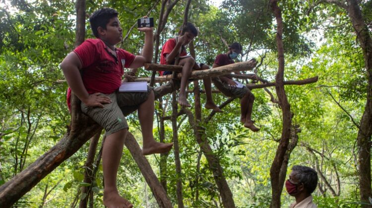 FOTO Copii din această țară, ca să aibă acces la școala online, traversează păduri cu leoparzi și urcă în copaci