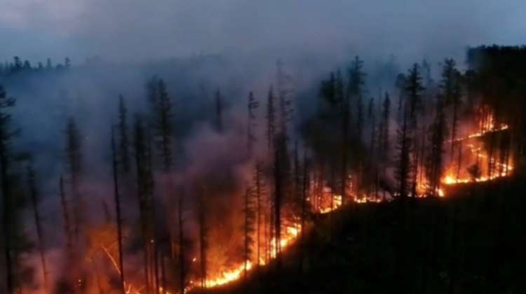VIDEO Imagini ca dintr-un film de groază. În Turcia, o mașină circulă printr-o pădure cuprinsă de flăcări