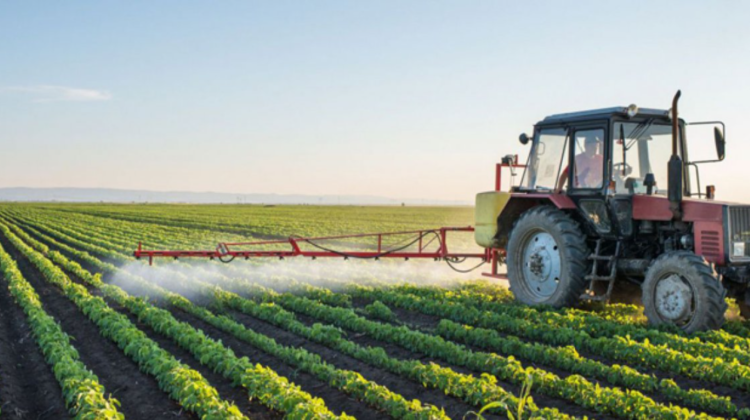 Cercetătorii moldoveni propun elaborarea unor sisteme noi de agricultură, precum trecerea la producerea ecologică
