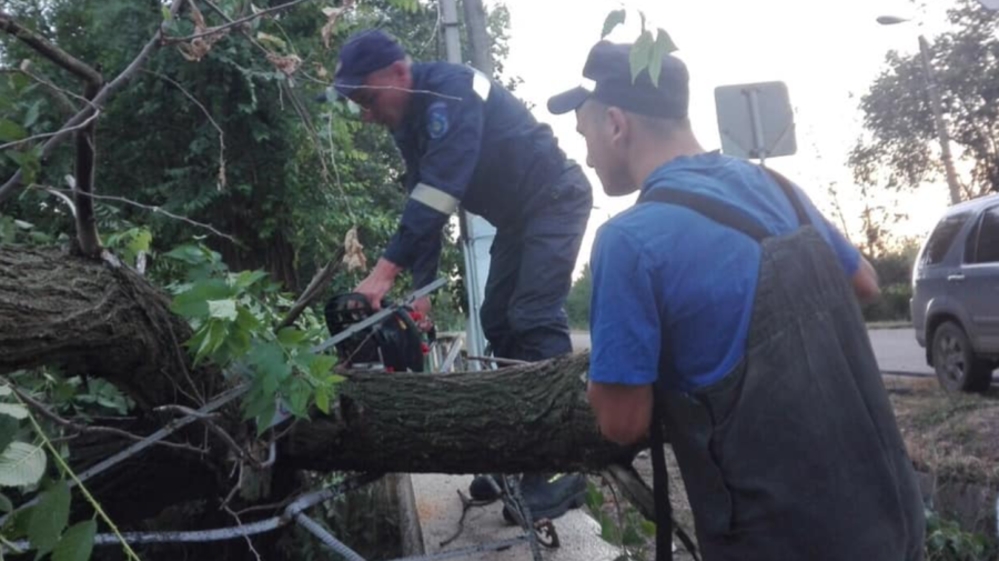 Consecințele ploilor: Un copac a căzut pe acoperișul unei case și mai multe localități au rămas fără energie electrică