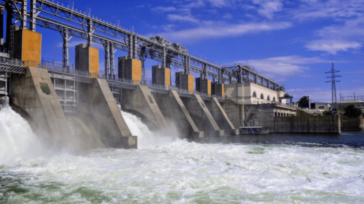 BANI.MD | Centralele electrice de pe Nistru ale ucrainenilor au „tocat” speciile dependente de apă ale râului