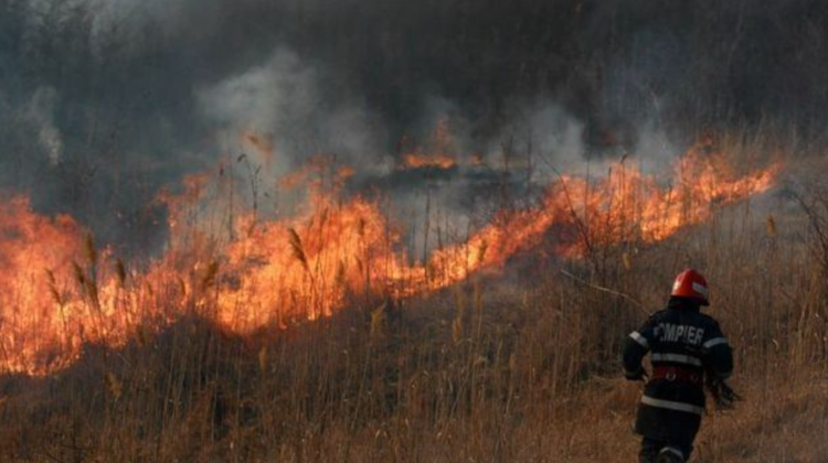 Incendiile din Moldova au alarmat-o pe Maia Sandu, care a cerut sancțiuni mai dure în acest sens