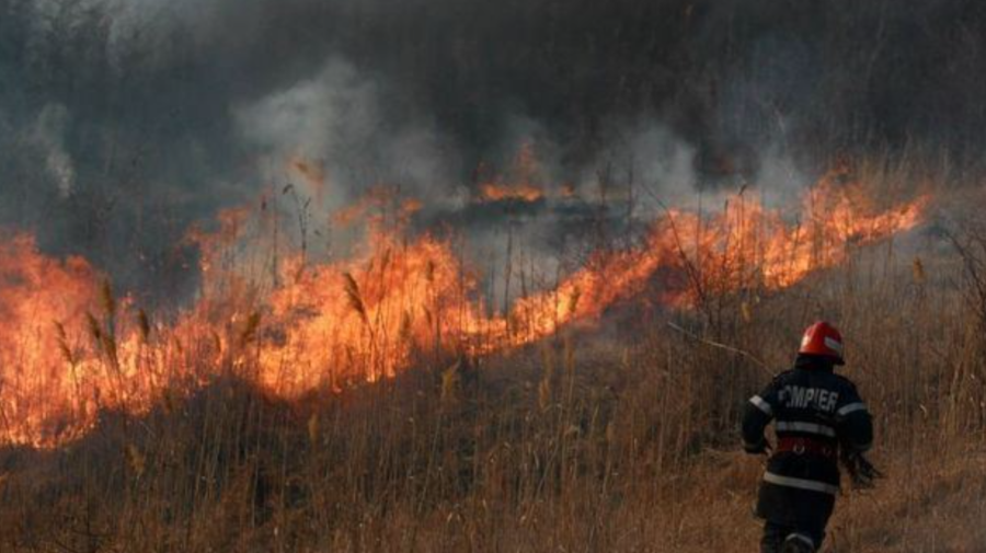 Incendiile din Moldova au alarmat-o pe Maia Sandu, care a cerut sancțiuni mai dure în acest sens
