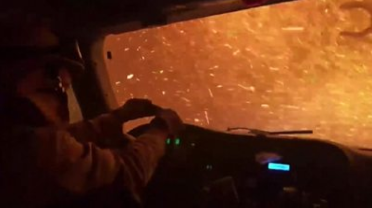Te trec fiorii! Pompierii din SUA au publicat imagini cu incendiile masive de vegetație, chiar din interiorul mașinii