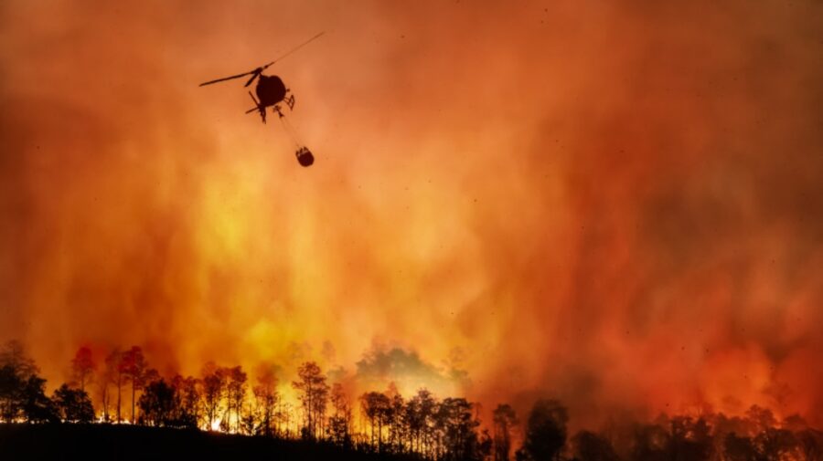 Știința trebuie să îmbunătățească predicțiile climatice! Incendiile și inundațiile din lume nu au putut fi anticipate