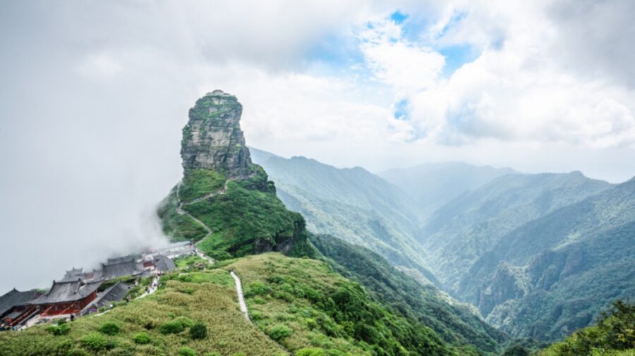 10 noi specii de păianjen și una de plantă au fost descoperite într-un sit UNESCO din China